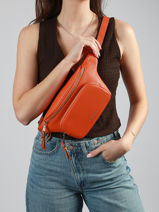 Heuptasje Est�e Laurent david Oranje ld bags 93-vue-porte